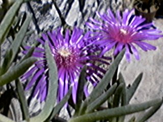 P05-26-06_12.26.jpg, 45 KB